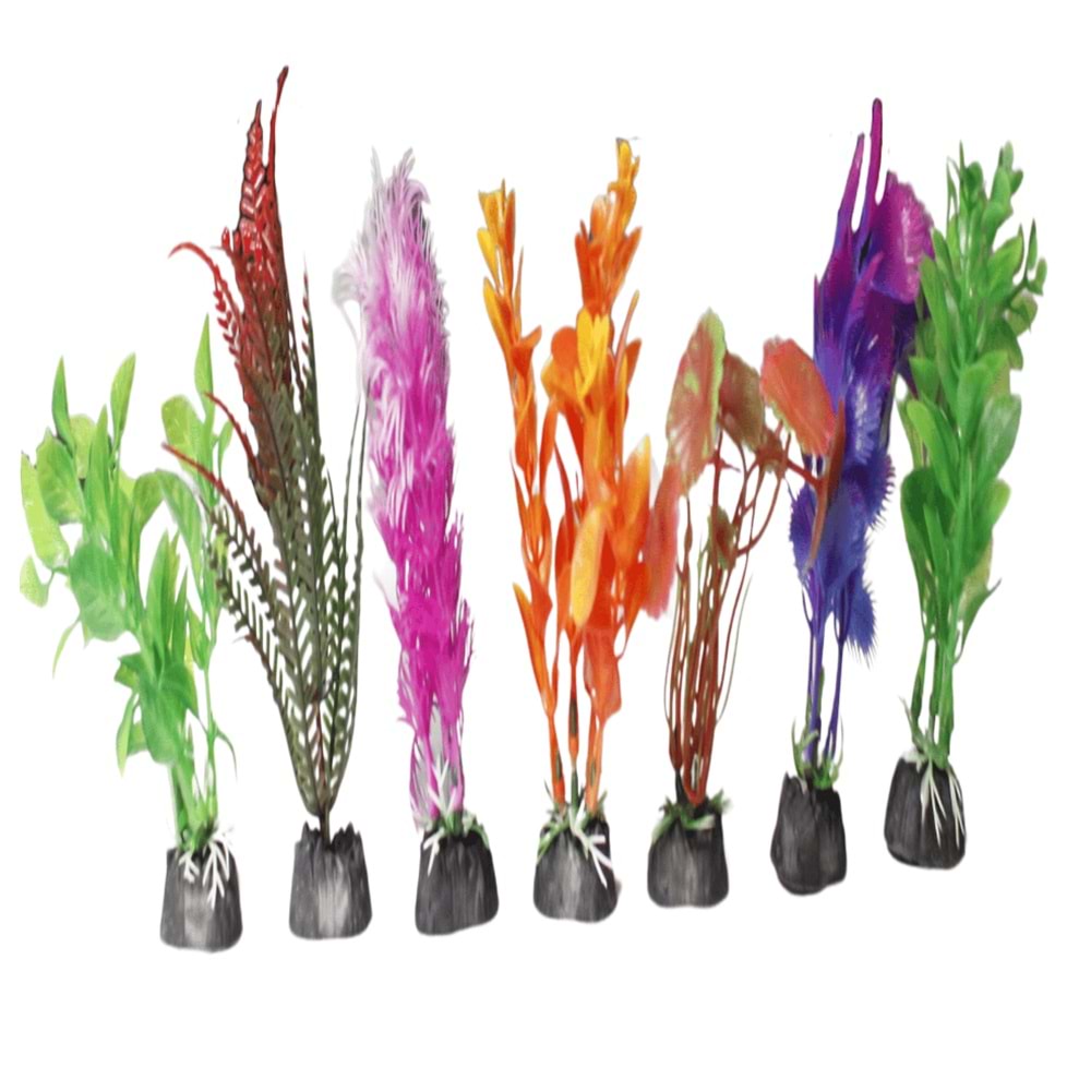 5 Cm Akvaryum Bitkisi