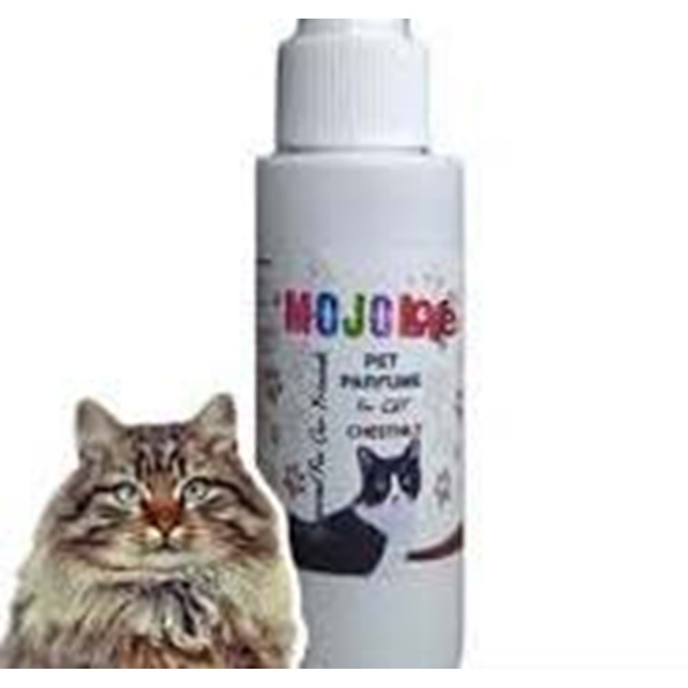 MOJO Kedi Doğal Parfüm Kedi Koku Giderici 100 ml