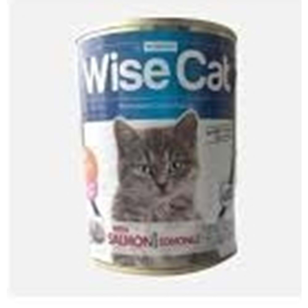 Wise Cat Somonlu Konserve Kedi Maması 415gr