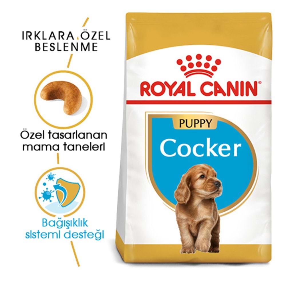 Royal Canin Cocker Junior Yavru Köpek Maması 3kg