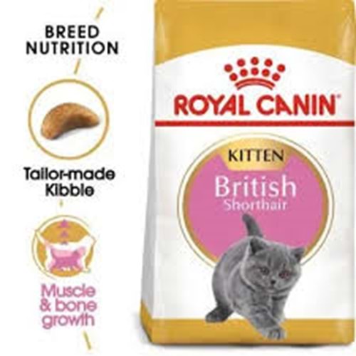 Royal Canin Kitten British Shorthair Yavru Kedi Maması 2kg