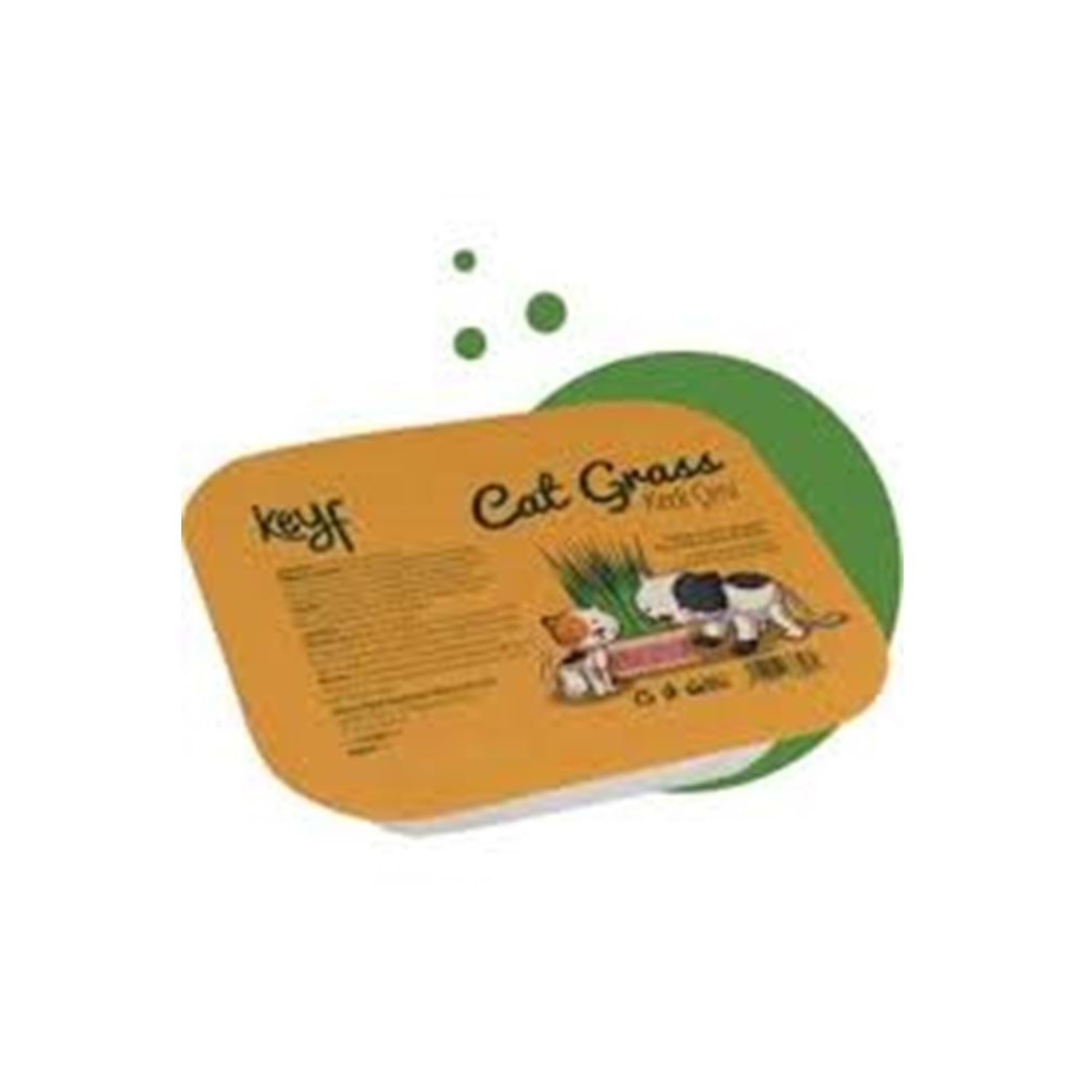 Klas Kedi Çimi Tüy Yumağı Önleyici Fileli Kedi Çimi Organik