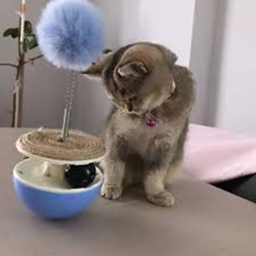 3 Fonksiyonlu Catnip'li Mantar Kedi Oyuncağı