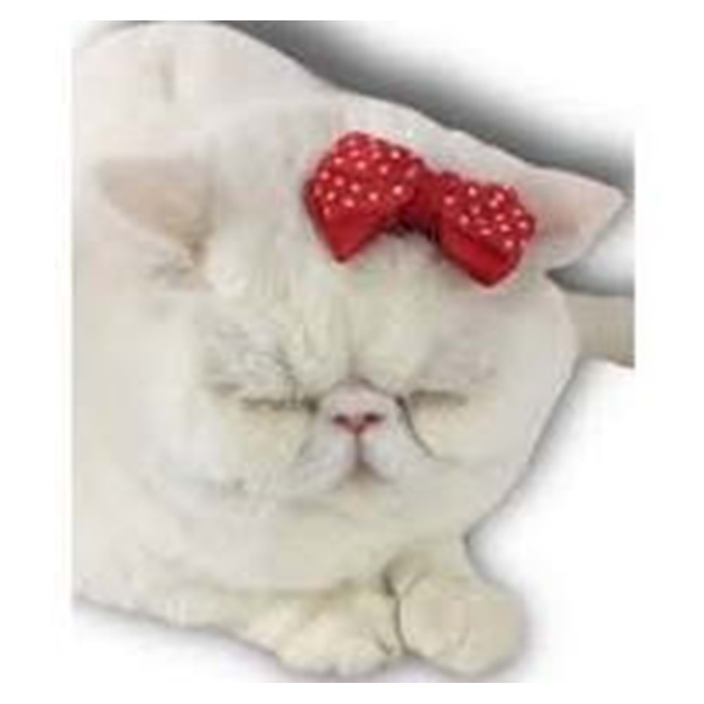 kedi tokası